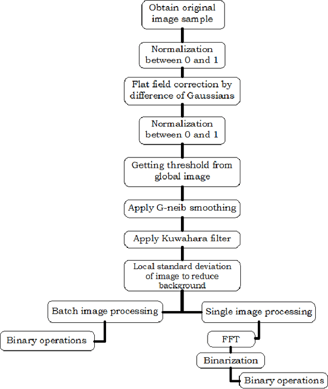Figure 1 for Automated image segmentation for detecting cell spreading for metastasizing assessments of cancer development