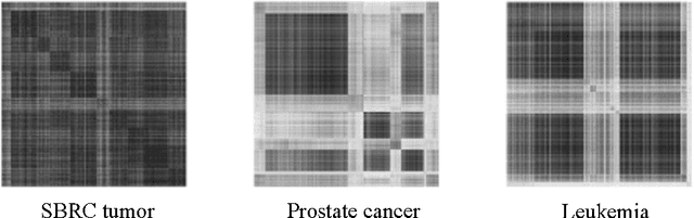 Figure 1 for Swapping Variables for High-Dimensional Sparse Regression with Correlated Measurements