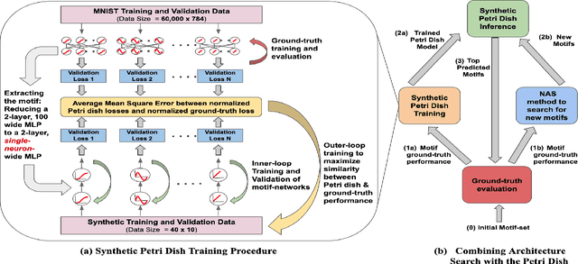 Figure 3 for Synthetic Petri Dish: A Novel Surrogate Model for Rapid Architecture Search