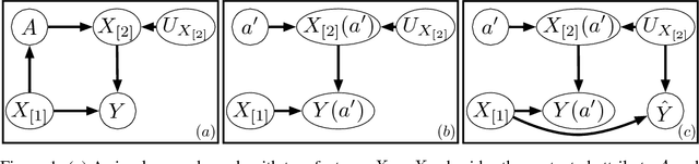 Figure 1 for Causal Interventions for Fairness