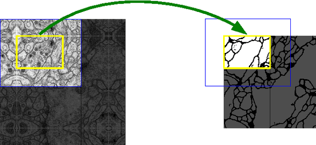 Figure 3 for U-Net: Convolutional Networks for Biomedical Image Segmentation