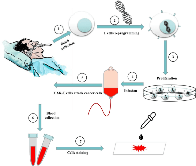 Figure 1 for RCMNet: A deep learning model assists CAR-T therapy for leukemia
