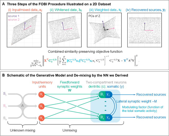 Figure 1 for A Normative and Biologically Plausible Algorithm for Independent Component Analysis