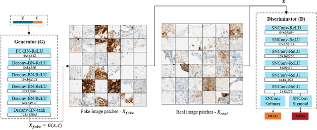Figure 1 for Deep Semi Supervised Generative Learning for Automated PD-L1 Tumor Cell Scoring on NSCLC Tissue Needle Biopsies