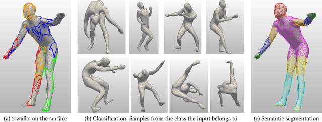 Figure 3 for MeshWalker: Deep Mesh Understanding by Random Walks