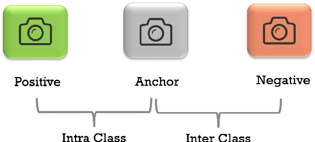 Figure 3 for Joint Triplet Autoencoder for Histopathological Colon Cancer Nuclei Retrieval