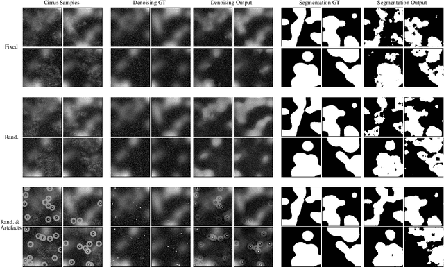 Figure 3 for Learnable Gabor modulated complex-valued networks for orientation robustness