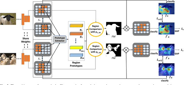 Figure 2 for Cross-Image Region Mining with Region Prototypical Network for Weakly Supervised Segmentation