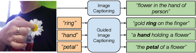 Figure 1 for Understanding Guided Image Captioning Performance across Domains