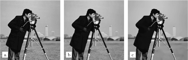 Figure 3 for Amoeba Techniques for Shape and Texture Analysis