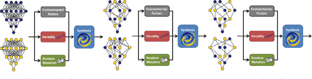 Figure 1 for The Mating Rituals of Deep Neural Networks: Learning Compact Feature Representations through Sexual Evolutionary Synthesis