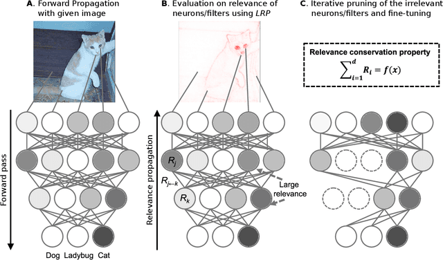 Figure 1 for Pruning by Explaining: A Novel Criterion for Deep Neural Network Pruning