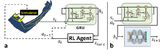 Figure 1 for Neuromuscular Reinforcement Learning to Actuate Human Limbs through FES