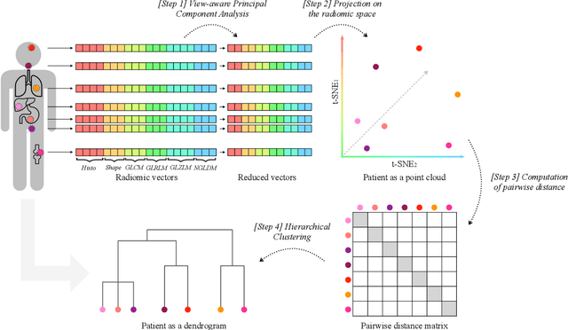 Figure 1 for Imaging-based representation and stratification of intra-tumor Heterogeneity via tree-edit distance