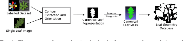 Figure 2 for Scalable learning for bridging the species gap in image-based plant phenotyping