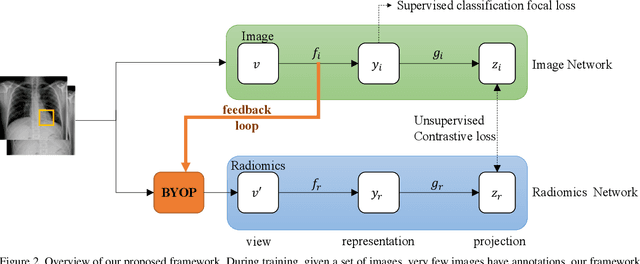 Figure 3 for Cross-Modal Contrastive Learning for Abnormality Classification and Localization in Chest X-rays with Radiomics using a Feedback Loop