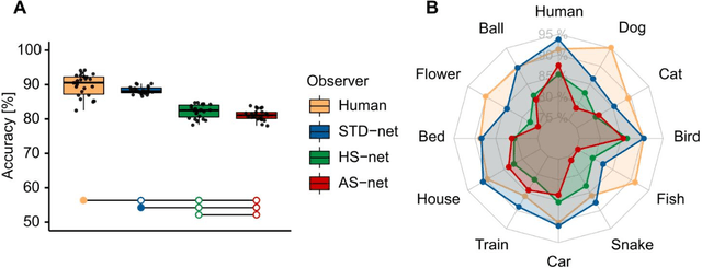 Figure 2 for Guiding Visual Attention in Deep Convolutional Neural Networks Based on Human Eye Movements