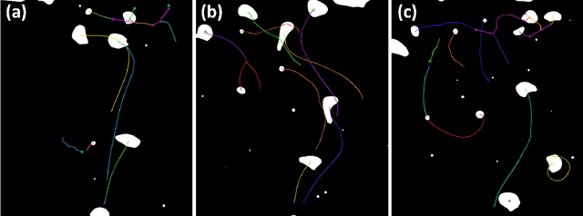 Figure 3 for MHT-X: Offline Multiple Hypothesis Tracking with Algorithm X