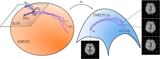 Figure 1 for Moment evolution equations and moment matching for stochastic image EPDiff