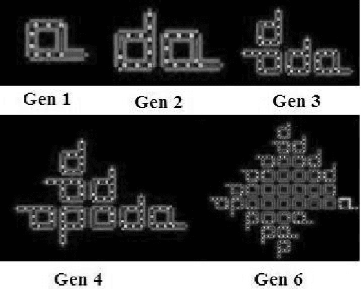 Figure 4 for Computational Complexity of Observing Evolution in Artificial-Life Forms
