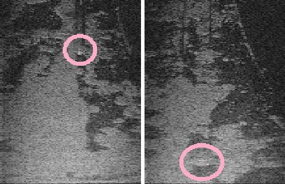 Figure 1 for Active Classification: Theory and Application to Underwater Inspection