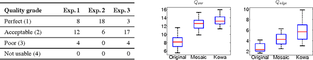 Figure 3 for Super-Resolved Retinal Image Mosaicing