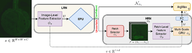 Figure 3 for SOS: Selective Objective Switch for Rapid Immunofluorescence Whole Slide Image Classification