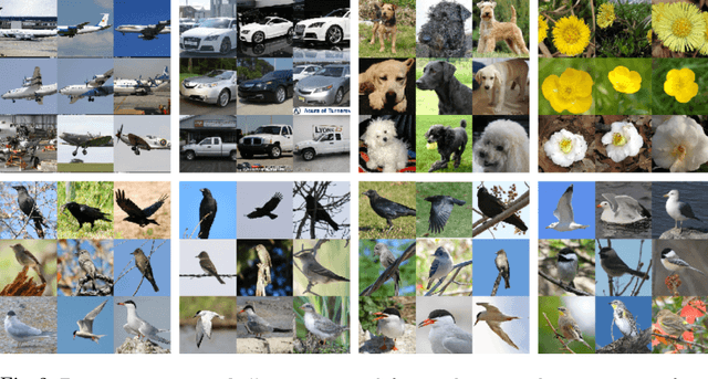 Figure 3 for Facing the Hard Problems in FGVC