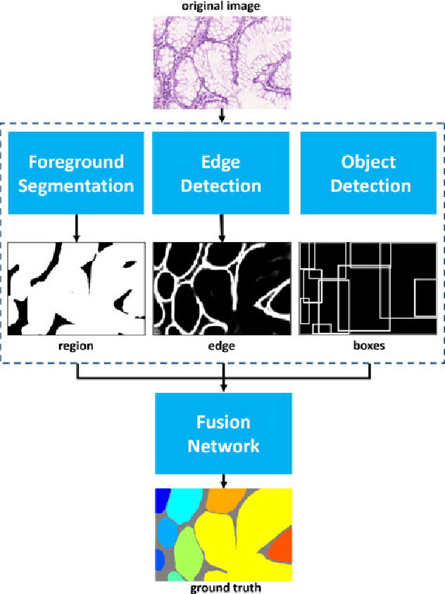 Figure 2 for Gland Instance Segmentation Using Deep Multichannel Neural Networks