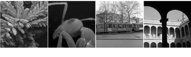 Figure 4 for Design Techniques for Incremental Non-Regular Image Sampling Patterns