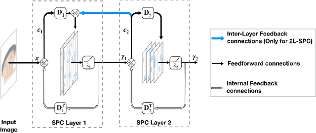 Figure 1 for Effect of top-down connections in Hierarchical Sparse Coding