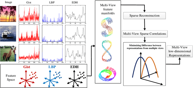 Figure 1 for Co-regularized Multi-view Sparse Reconstruction Embedding for Dimension Reduction
