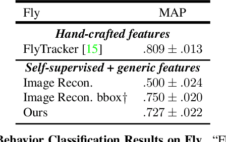 Figure 3 for Self-Supervised Keypoint Discovery in Behavioral Videos
