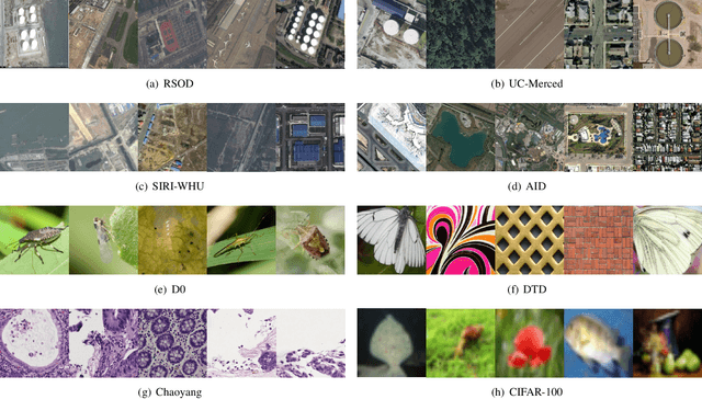 Figure 2 for Vision Transformer for Contrastive Clustering