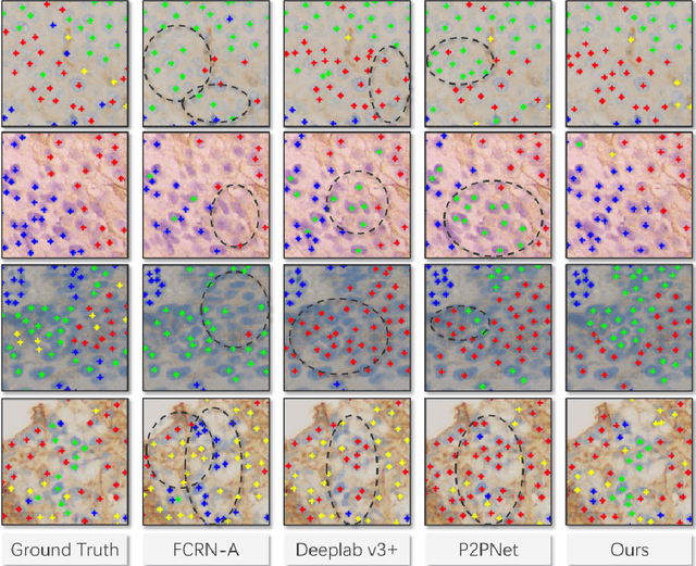 Figure 3 for End-to-end cell recognition by point annotation