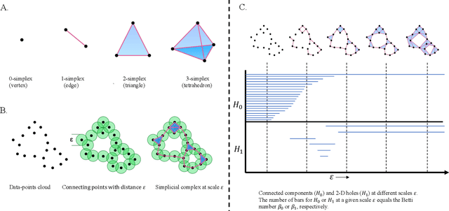Figure 3 for Towards Quantum Advantage on Noisy Quantum Computers