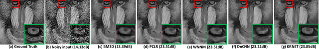 Figure 3 for KRNET: Image Denoising with Kernel Regulation Network