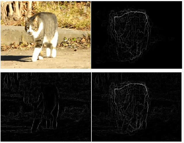 Figure 3 for Detecting Temporally Consistent Objects in Videos through Object Class Label Propagation