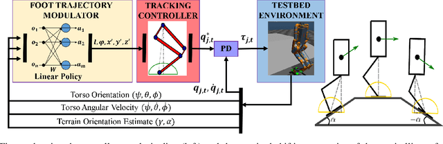 Figure 2 for Learning Linear Policies for Robust Bipedal Locomotion on Terrains with Varying Slopes