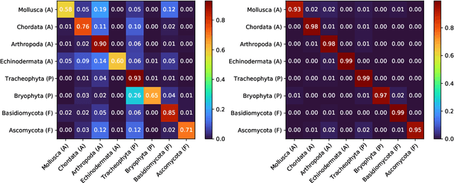 Figure 4 for Semi-Supervised Learning with Taxonomic Labels