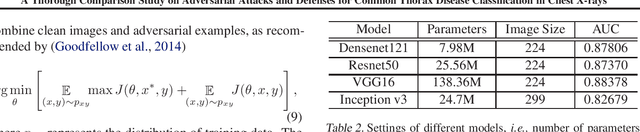 Figure 3 for A Thorough Comparison Study on Adversarial Attacks and Defenses for Common Thorax Disease Classification in Chest X-rays
