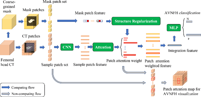 Figure 1 for Structure Regularized Attentive Network for Automatic Femoral Head Necrosis Diagnosis and Localization