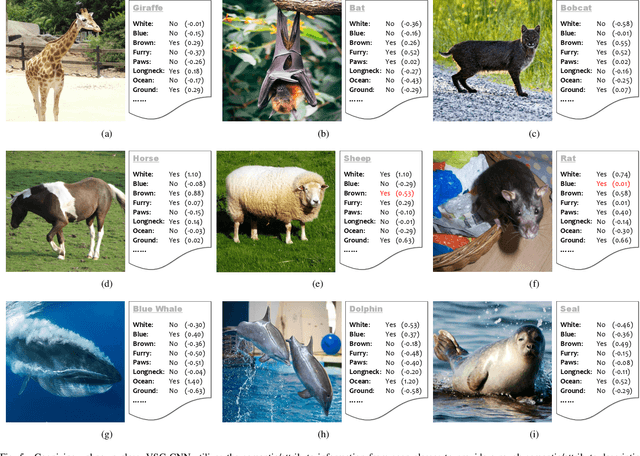 Figure 4 for Visual and Semantic Prototypes-Jointly Guided CNN for Generalized Zero-shot Learning