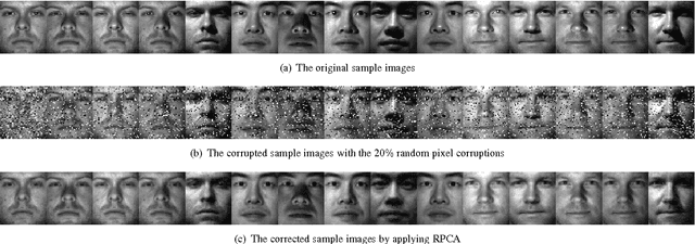 Figure 3 for Symmetric low-rank representation for subspace clustering