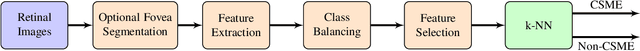 Figure 1 for An Efficient Framework for Automated Screening of Clinically Significant Macular Edema