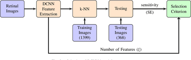 Figure 3 for An Efficient Framework for Automated Screening of Clinically Significant Macular Edema