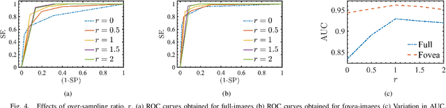 Figure 4 for An Efficient Framework for Automated Screening of Clinically Significant Macular Edema
