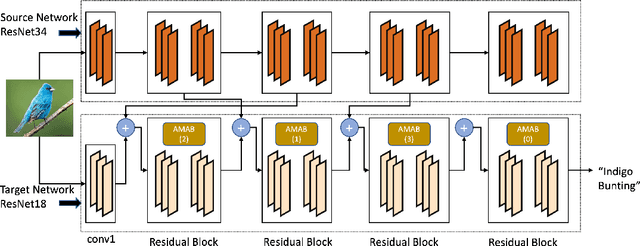 Figure 1 for Auto-Transfer: Learning to Route Transferrable Representations