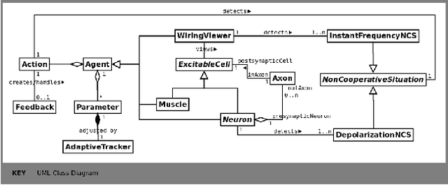 Figure 1 for Towards a Self-Organized Agent-Based Simulation Model for Exploration of Human Synaptic Connections