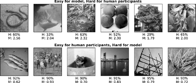 Figure 4 for How Deep is the Feature Analysis underlying Rapid Visual Categorization?